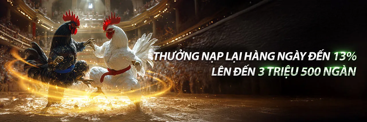 Tổng quan về i8bet chính thức